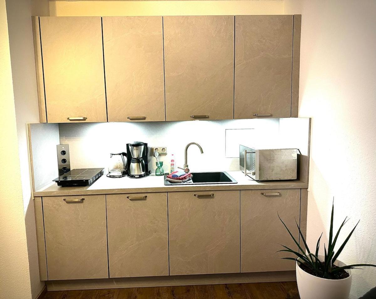 Comfortable City Appartement دريسدن المظهر الخارجي الصورة